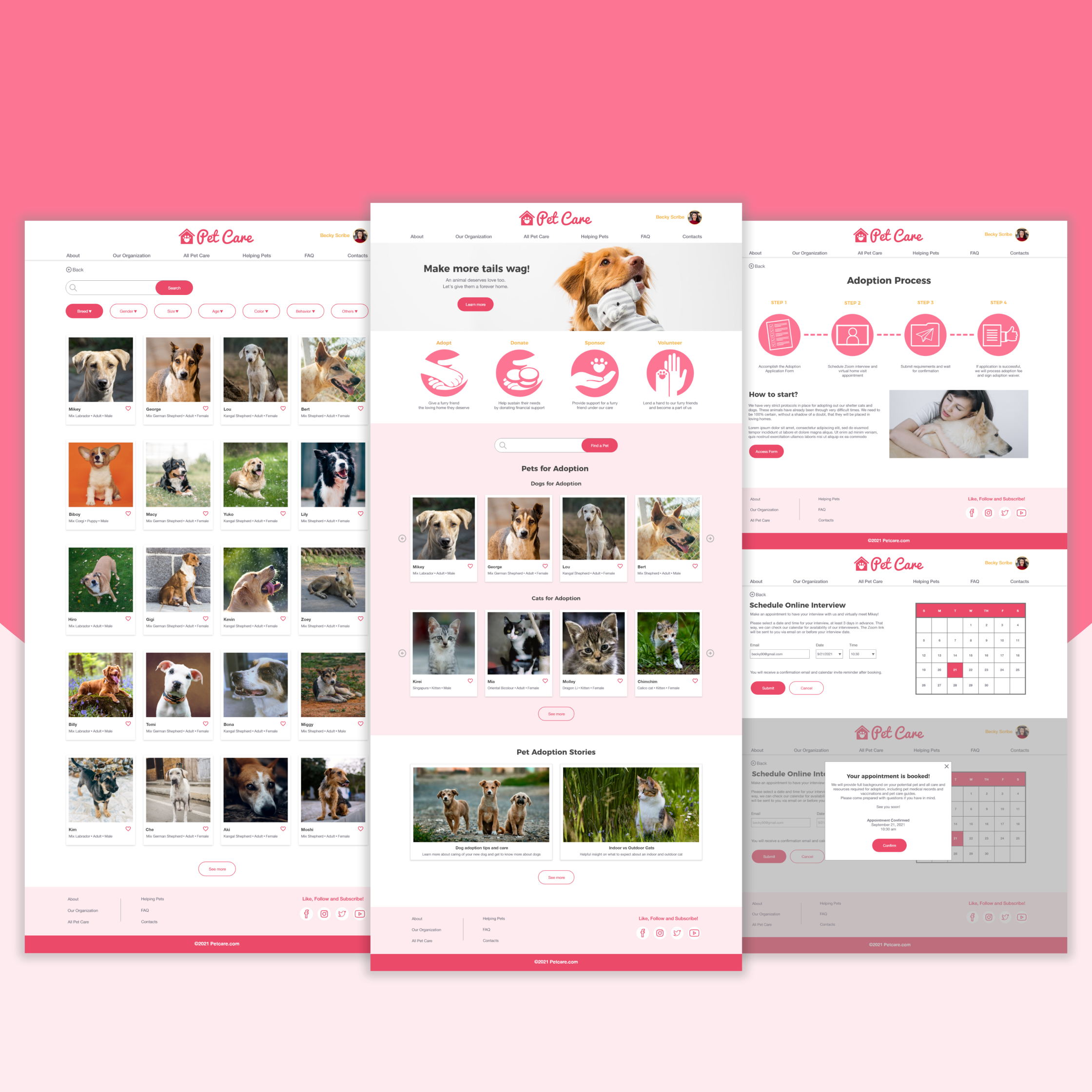 Petcare ux project preview